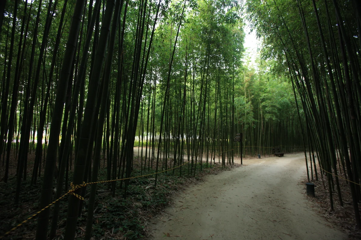 태화강 국가정원 - 울산여행 여행