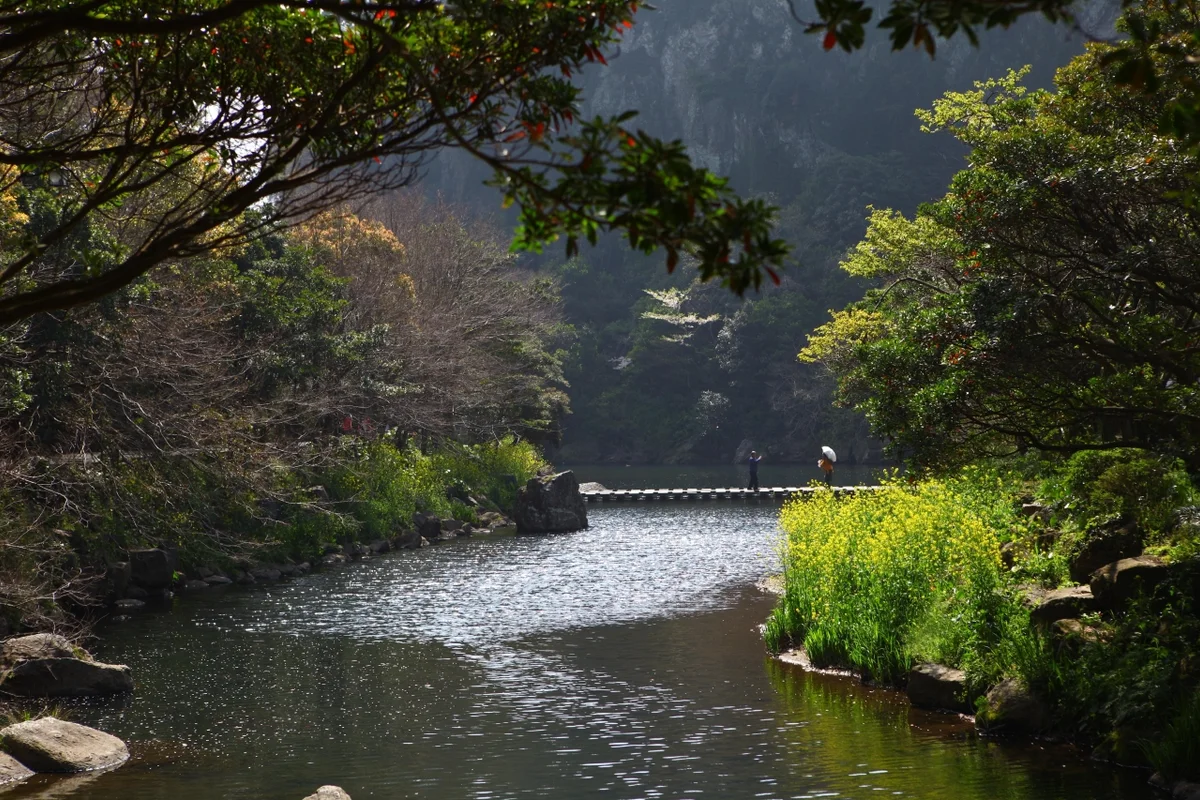 2026 겨울 천지연폭포 여행코스 추천: 서귀포에서 만나는 제주의 겨울 풍경 BEST 5