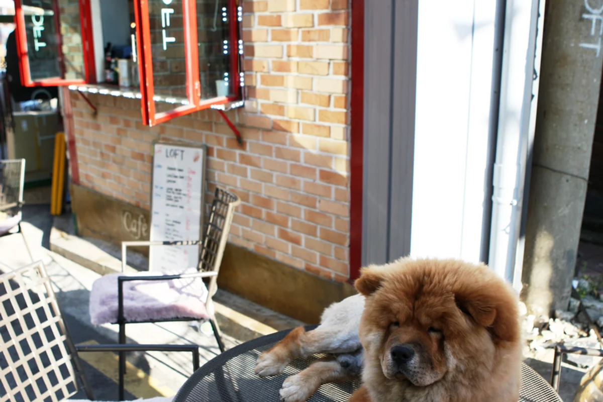 이태원 인스타 명소 BEST 5, 2026년 겨울 여행 필수 코스