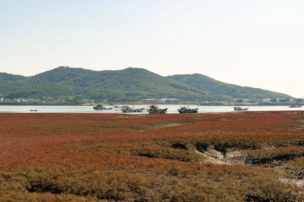 강화도 핫플레이스 2026년 겨울 여행, 놓치면 후회할 6곳