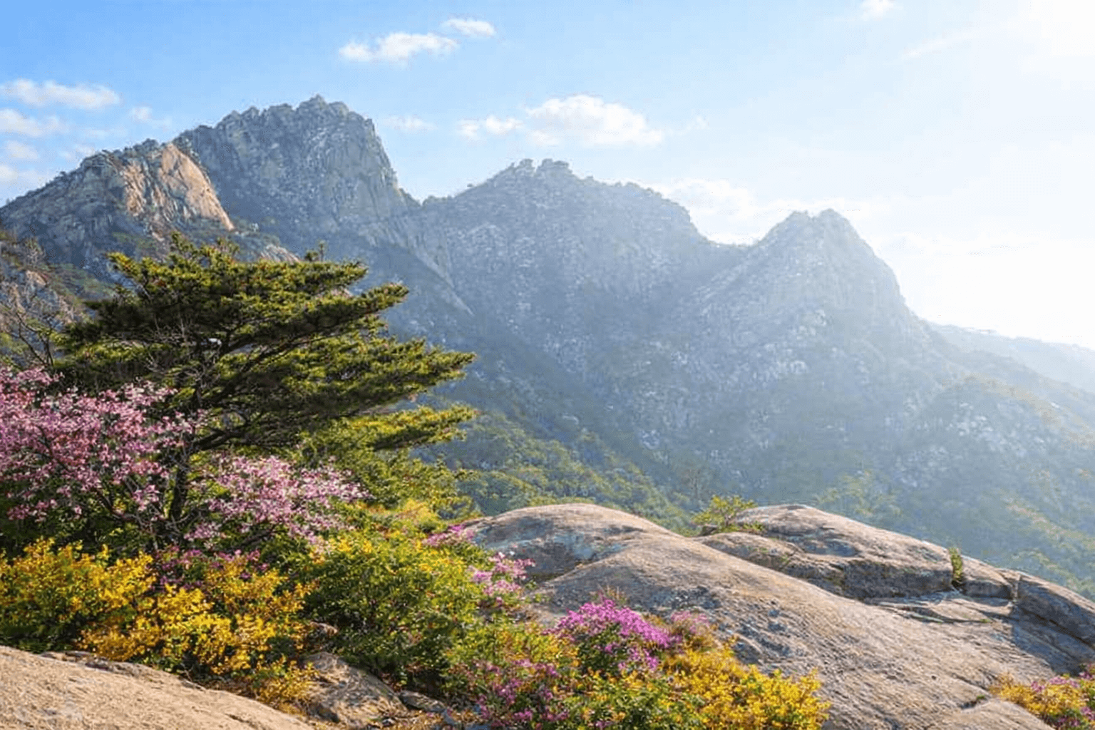 삼양 여행지 추천 2026 겨울! 서울 강북구 도심 속 힐링 명소 5곳