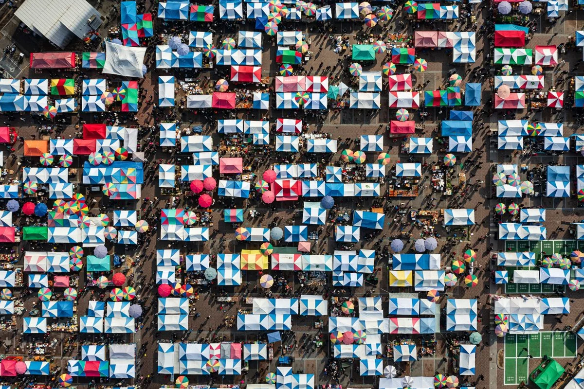 2026년 성남시 벚꽃 명소, 봄맞이 여행을 위한 BEST 6