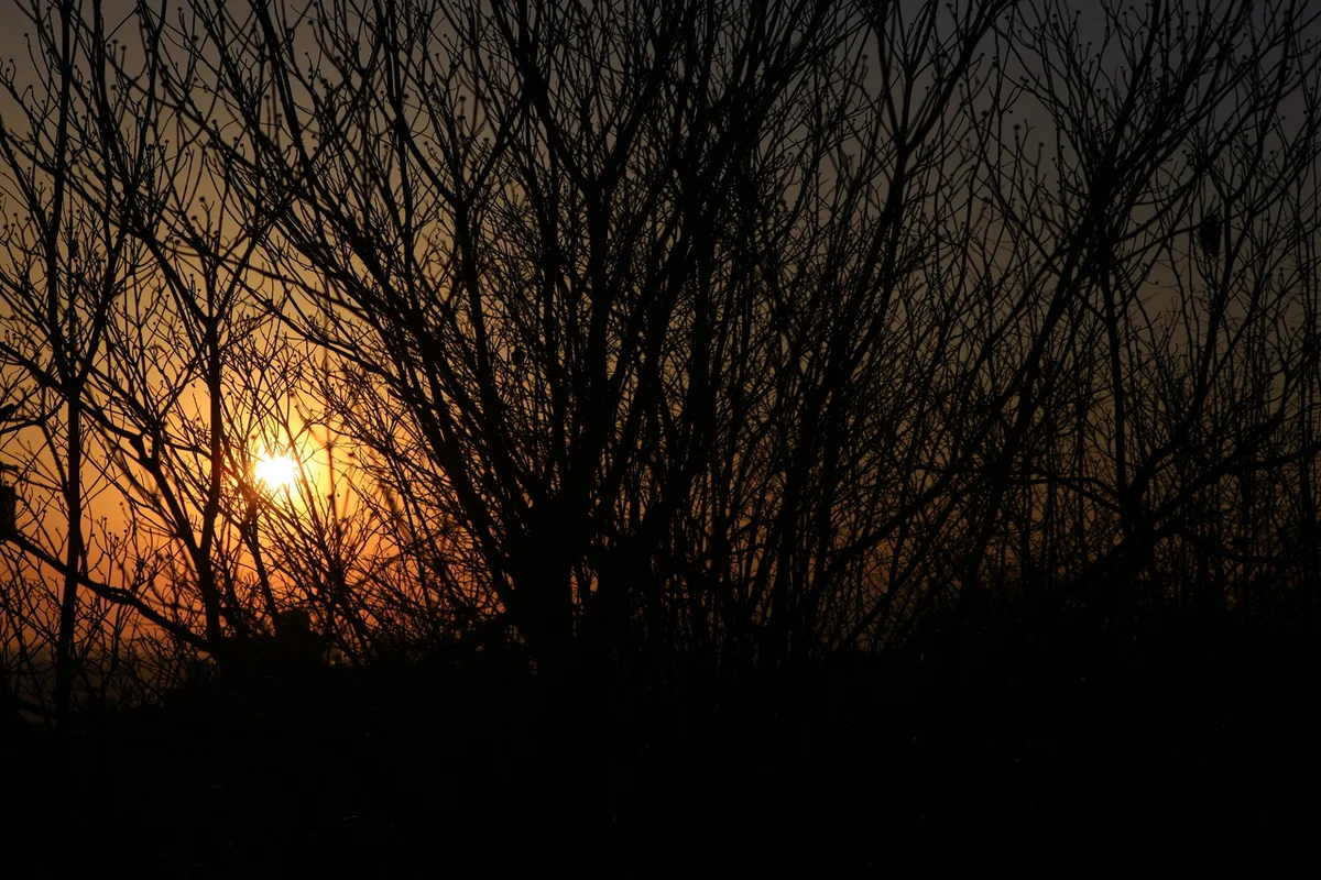 우암사적공원 - 대전벚꽃 여행