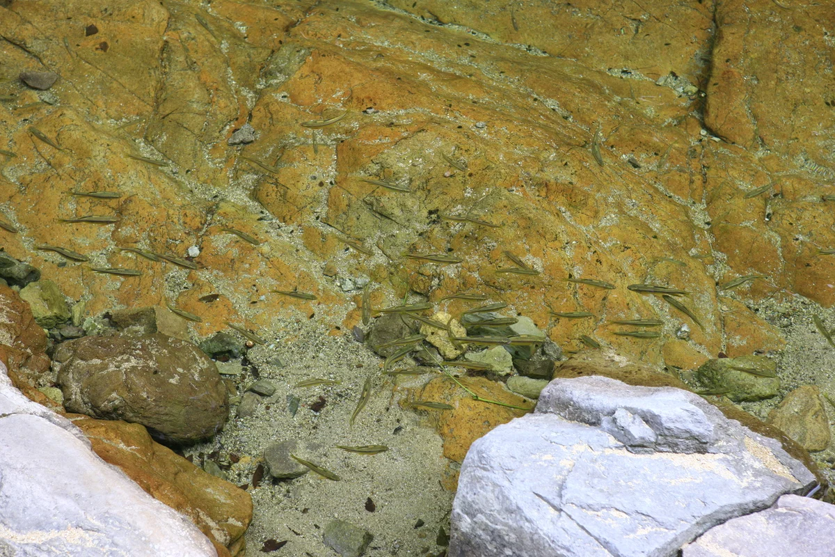 양천구 고기 맛집 (출처 : 한국관광공사)