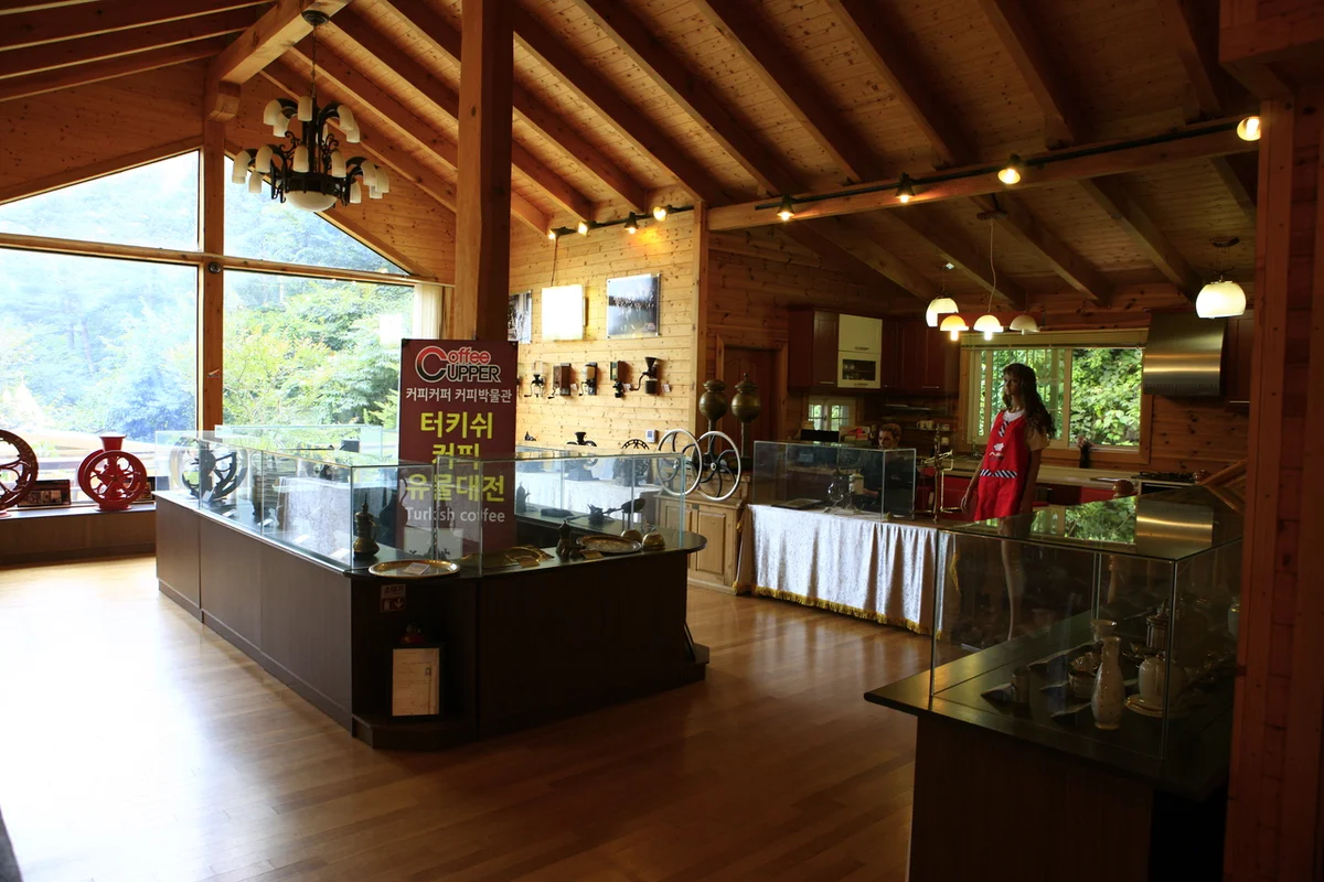 대전 벚꽃 명소 (출처 : 한국관광공사)