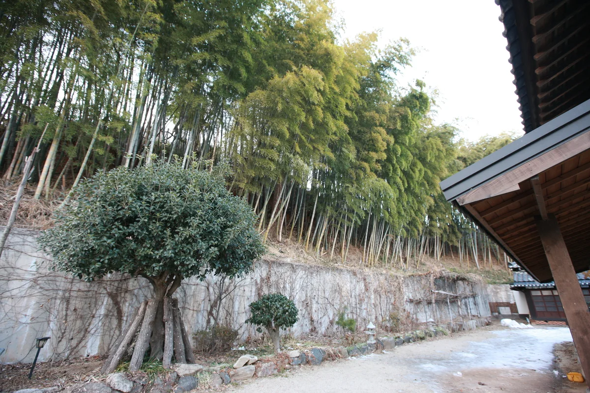 동국사 - 군산여행 여행