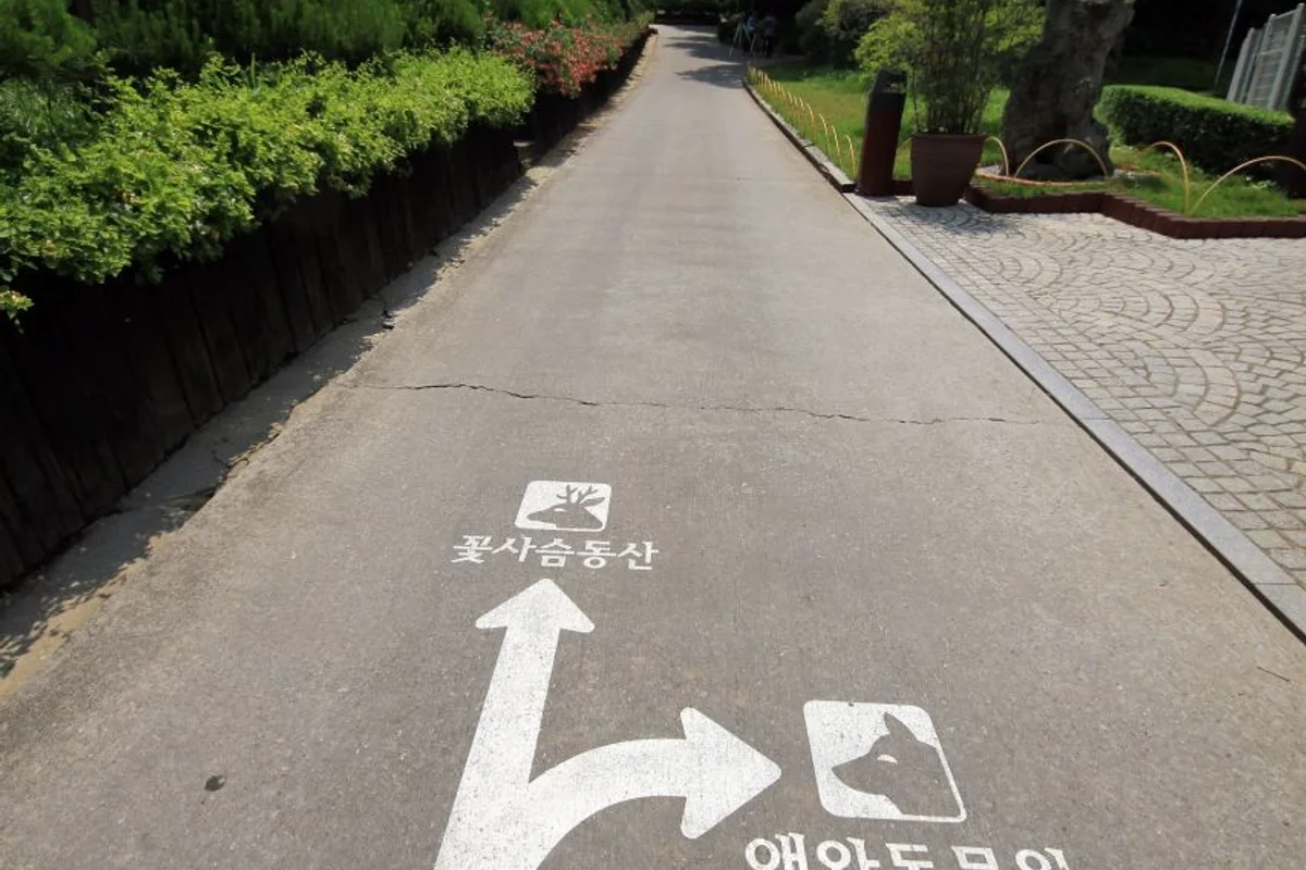 베어트리파크 - 세종여행 여행