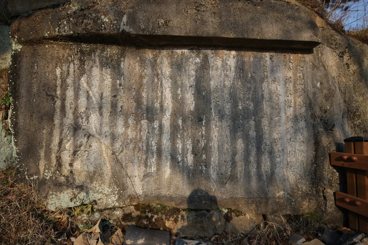 2026 봄 구례군 여행 추천 명소 6곳, 산수유꽃 축제 가이드