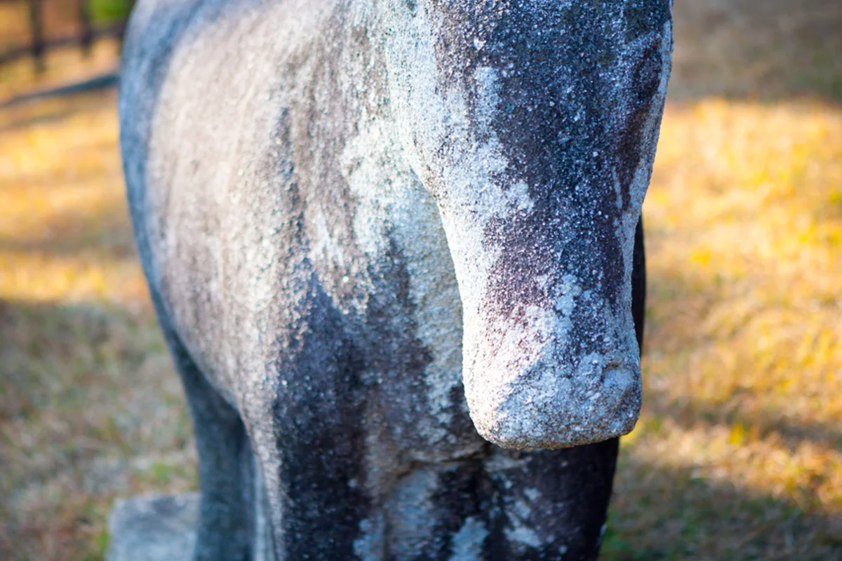 세종대왕릉 - 여주시 여행