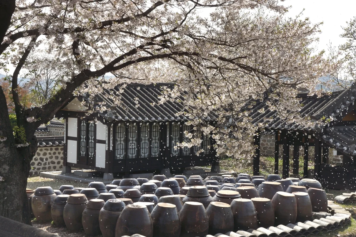 예산 봄 여행 (출처 : 한국관광공사)