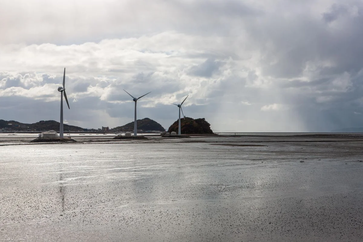 탄도항 - 안산근교 여행