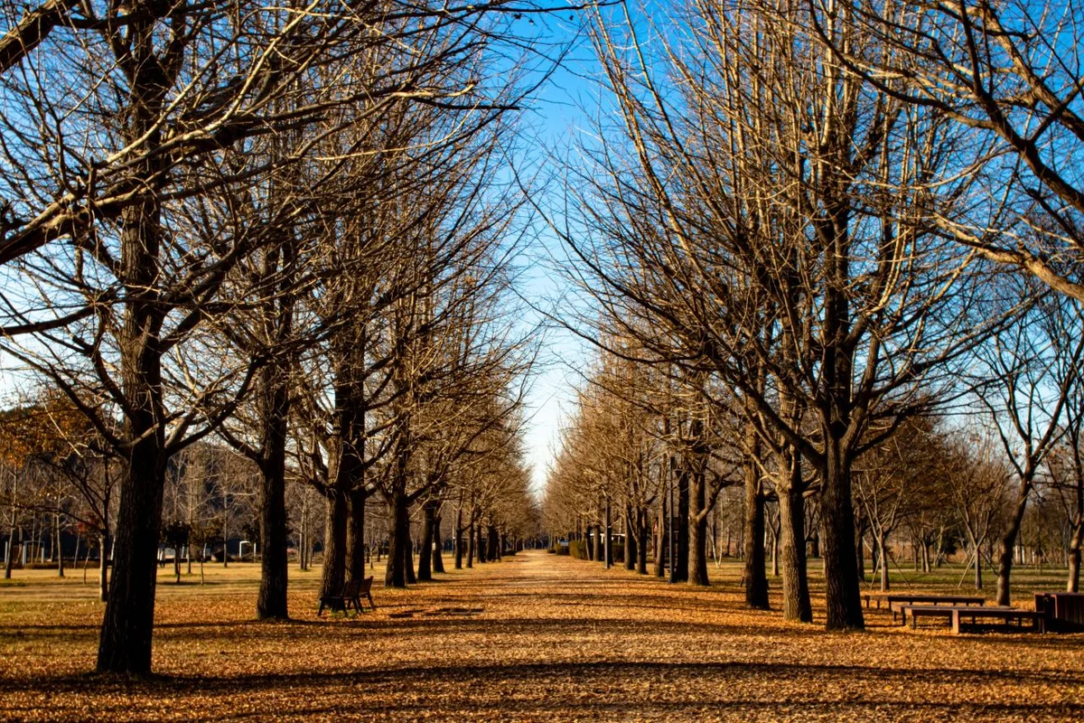 강천섬유원지 - 여주시 여행
