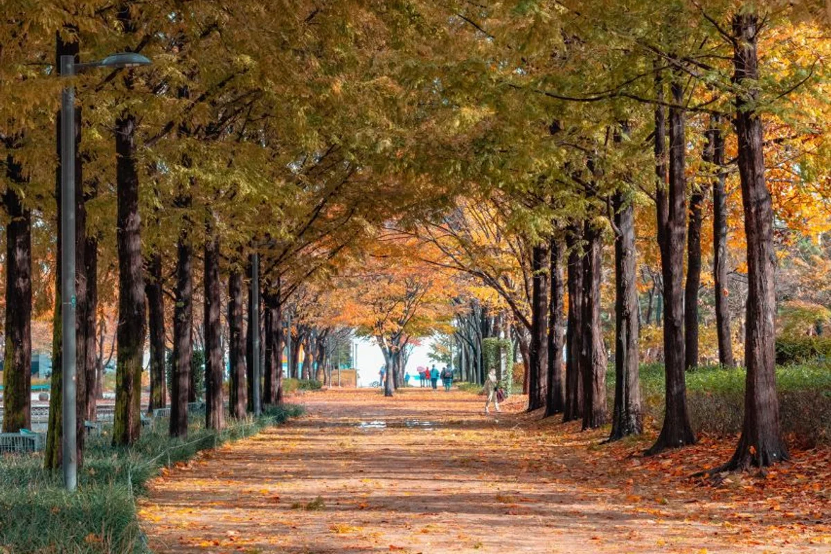 서울숲 - 서울 여행