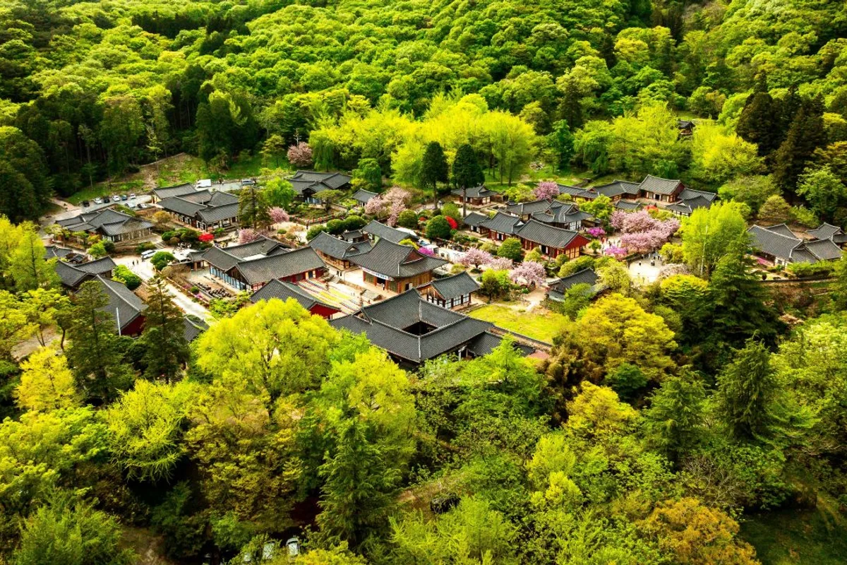 순천시 봄 나들이 (출처 : 한국관광공사)