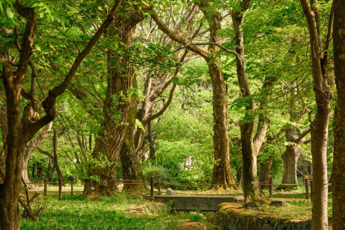 4월 순천 가볼만한곳 꼭 가봐야 할 명소 5곳 — 2026년 봄꽃 여행 완벽 가이드