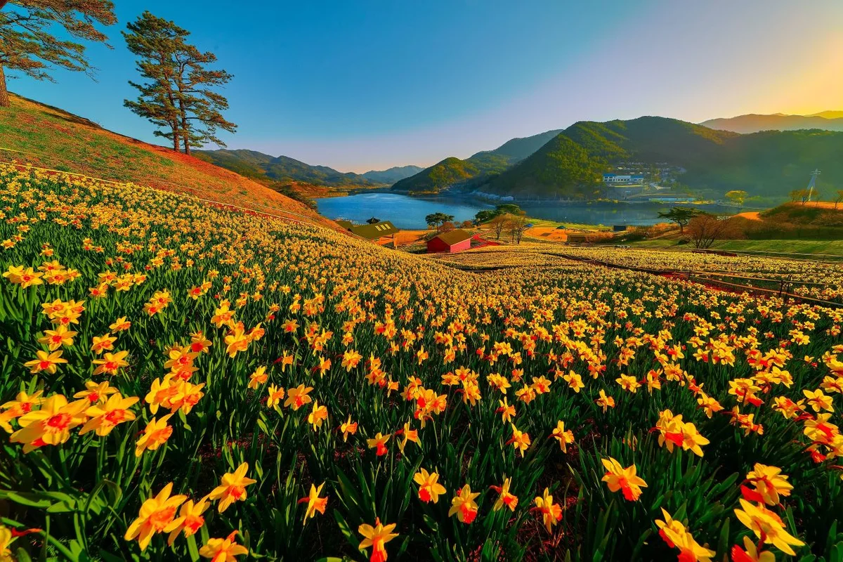 지리산치즈랜드 - 구례군여행 여행